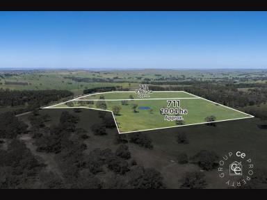 Lifestyle For Sale - SA - Mount Pleasant - 5235 - Two beautiful parcels of land, each 24 acres and each $645,000-$675,000.  (Image 2)