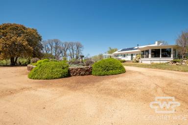 Lifestyle For Sale - NSW - Glen Innes - 2370 - 'Kent Park'  (Image 2)