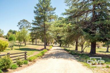 Lifestyle For Sale - NSW - Glen Innes - 2370 - 'Kent Park'  (Image 2)