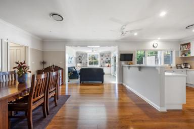 House For Sale - NSW - Cambewarra Village - 2540 - Family Living Beneath Cambewarra Mountain  (Image 2)