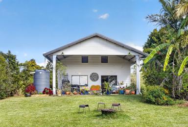 House For Sale - QLD - Barrine - 4872 - 74 Acres of Prime Grazing Land with Stunning Lake Tinaroo Views  (Image 2)
