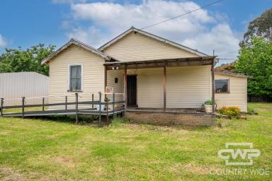 House For Sale - NSW - Glencoe - 2365 - Room to Move in Glencoe  (Image 2)