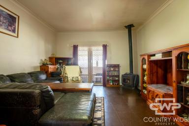 House For Sale - NSW - Glencoe - 2365 - Room to Move in Glencoe  (Image 2)