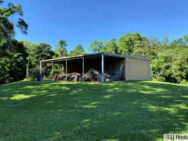 Residential Block For Sale - QLD - Maria Creeks - 4855 - Space, Potential & Rural Lifestyle – Approx. 7.5 Acres  (Image 2)