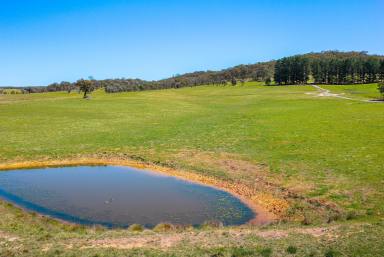 Lifestyle Auction - NSW - Goulburn - 2580 - Picturesque Rural Retreat | 12.41 Hectares of Opportunity  (Image 2)