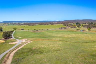 Lifestyle Auction - NSW - Goulburn - 2580 - Picturesque Rural Retreat | 12.41 Hectares of Opportunity  (Image 2)