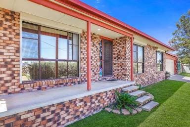 House For Lease - NSW - Tamworth - 2340 - Neat and Tidy Three Bedroom Home With Lots of Features  (Image 2)