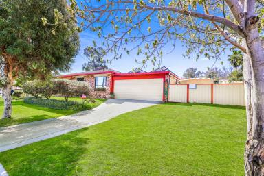 House For Lease - NSW - Tamworth - 2340 - Neat and Tidy Three Bedroom Home With Lots of Features  (Image 2)