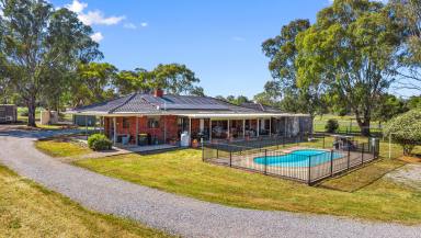 Lifestyle Auction - NSW - Tamworth - 2340 - SMALL ACREAGE LIVING WITH DUAL ACCOMMODATION  (Image 2)