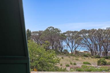 House For Sale - TAS - Bicheno - 7215 - Position, Privacy, Potential (Image 2)