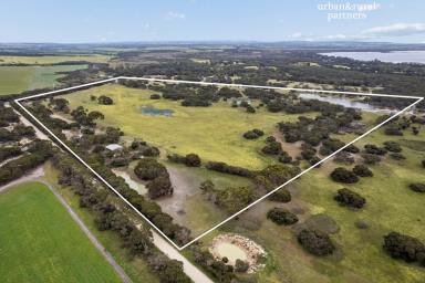 Acreage/Semi-rural For Sale - SA - Nepean Bay - 5223 - Stone & Timber Homestead on 80 Acres - Your Kangaroo Island Lifestyle Awaits (Image 2)