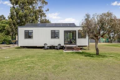 House For Sale - QLD - Nobby - 4360 - Tiny Home, Big Opportunity  (Image 2)