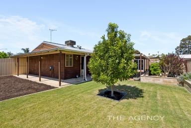 House For Sale - WA - Middle Swan - 6056 - Renovated Home | Pool | Grass | Shed | 690sqm (Image 2)
