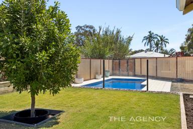 House For Sale - WA - Middle Swan - 6056 - Renovated Home | Pool | Grass | Shed | 690sqm (Image 2)