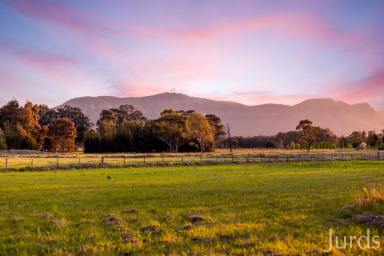 Lifestyle For Sale - NSW - Pokolbin - 2320 - Silverpoint — A HUNTER VALLEY COUNTRY HOME  (Image 2)