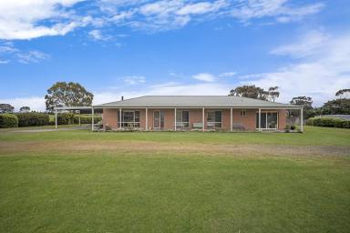Acreage/Semi-rural For Sale - VIC - Hamilton - 3300 - Lifestyle property minutes from town  (Image 2)