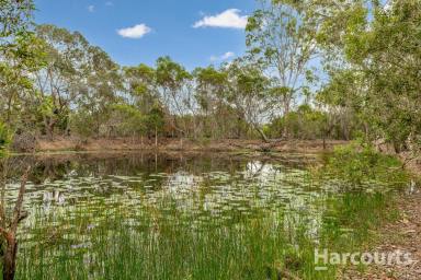 House For Lease - QLD - Susan River - 4655 - Your Own Slice of Country Living - Space, Sheds & So Much More!  (Image 2)