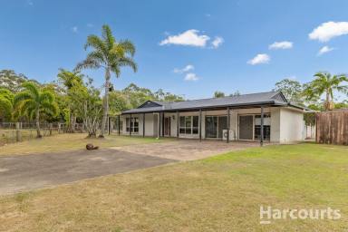 House For Lease - QLD - Susan River - 4655 - Your Own Slice of Country Living - Space, Sheds & So Much More!  (Image 2)