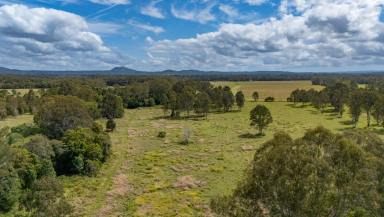 Residential Block Auction - QLD - Cootharaba - 4565 - Jabiru - 251 Acres of Noosa Hinterland Potential  (Image 2)