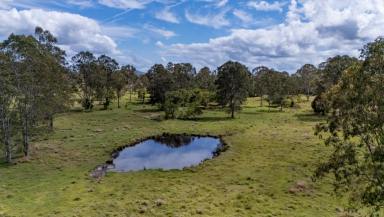 Residential Block Auction - QLD - Cootharaba - 4565 - Jabiru - 251 Acres of Noosa Hinterland Potential  (Image 2)