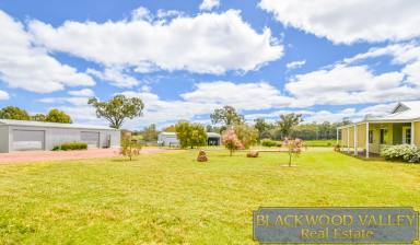 Cropping For Sale - WA - Manjimup - 6258 - 100 ACRES WITH FAMILY HOME  (Image 2)
