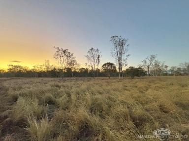 Livestock For Sale - QLD - Biboohra - 4880 - RARE FREEHOLD OPPORTUNITY – APPROX. 440 ACRES, 15 MINUTES FROM MAREEBA (Image 2)