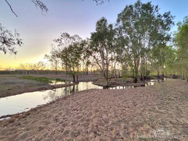 Livestock For Sale - QLD - Biboohra - 4880 - RARE FREEHOLD OPPORTUNITY – APPROX. 440 ACRES, 15 MINUTES FROM MAREEBA (Image 2)