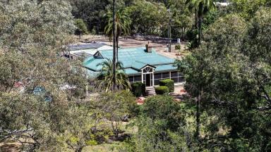 House Auction - NSW - Moree - 2400 - Milray House - Tranquil Living West Of Moree (Image 2)