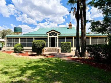 House Auction - NSW - Moree - 2400 - Milray House - Tranquil Living West Of Moree (Image 2)
