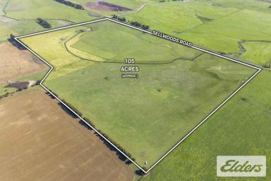 Other (Rural) For Sale - VIC - Learmonth - 3352 - Sellwoods Road, Learmonth  (Image 2)