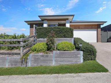 House For Sale - NSW - Moss Vale - 2577 - Sun-Drenched Sophistication with Panoramic Northern Views  (Image 2)