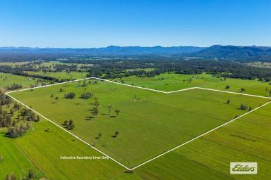 Other (Rural) For Sale - NSW - Lansdowne - 2430 - 157 ACRES WITH TWO HOMES & LOADS OF POSSIBILITIES  (Image 2)