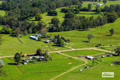 Other (Rural) For Sale - NSW - Lansdowne - 2430 - 157 ACRES WITH TWO HOMES & LOADS OF POSSIBILITIES  (Image 2)