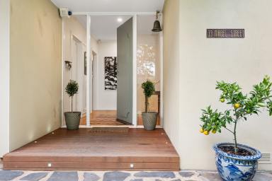 House For Sale - SA - Stirling - 5152 - Mid-Century Sanctuary with an Architecturally Designed Studio (Image 2)