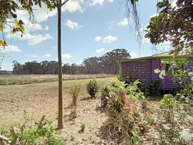 House For Sale - QLD - Ravenshoe - 4888 - Purple Home on Moffat  (Image 2)