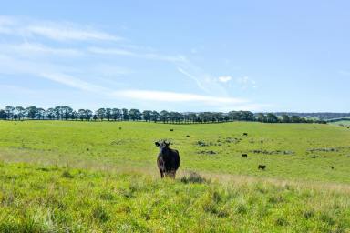 Mixed Farming For Sale - NSW - Goulburn - 2580 - GIRRAKOOL & NORTH POMEROY (Image 2)
