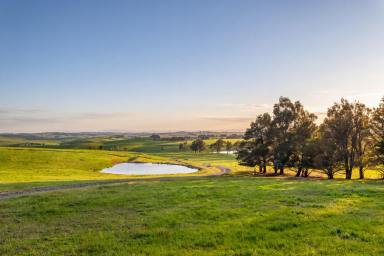Mixed Farming For Sale - NSW - Goulburn - 2580 - GIRRAKOOL & NORTH POMEROY (Image 2)
