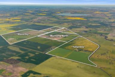 Livestock For Sale - VIC - Inverleigh - 3321 - TURNKEY INVESTMENT SCALE MIXED FARMING OPPERATION (Image 2)