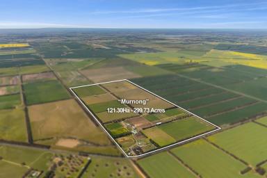 Livestock For Sale - VIC - Inverleigh - 3321 - TURNKEY INVESTMENT SCALE MIXED FARMING OPPERATION (Image 2)