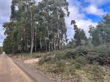 Residential Block For Sale - TAS - Reedy Marsh - 7304 - A Picturesque Rural Escape Just Minutes from Deloraine  (Image 2)