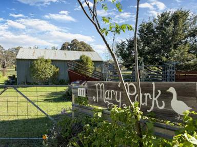 Residential Block For Sale - NSW - Young - 2594 - Your 10 Acre Country Escape Awaits  (Image 2)