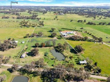 Residential Block For Sale - NSW - Young - 2594 - Your 10 Acre Country Escape Awaits  (Image 2)