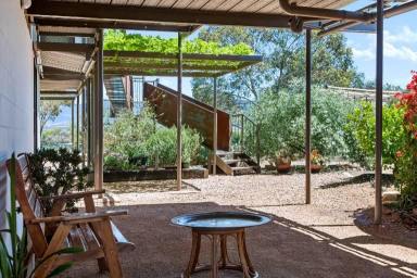 Lifestyle For Sale - SA - Quorn - 5433 - Distinctive Architectural Craftsmanship  (Image 2)