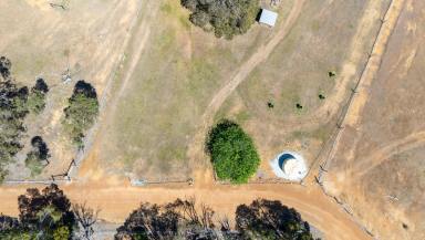 Other (Rural) For Sale - WA - Gidgegannup - 6083 - Space, Serenity & the Freedom to Dream  (Image 2)