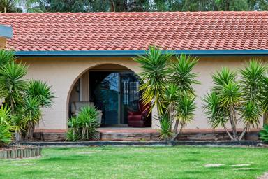 Unit For Sale - SA - Barmera - 5345 - Picturesque Resort-Style Living Just Steps from Lake Bonney!  (Image 2)