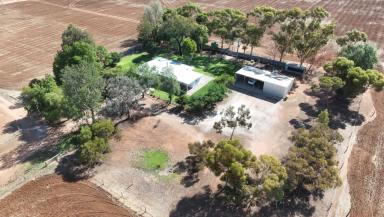 Lifestyle For Sale - VIC - Beverford - 3590 - Renovated Country Retreat on 46 Hectares - Space, Comfort & Rural Charm  (Image 2)