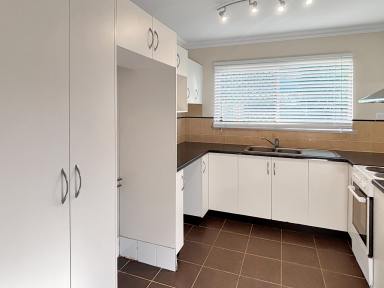 Unit For Lease - QLD - Mooroobool - 4870 - Spacious 3 Bedroom Unit  (Image 2)