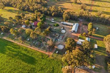 House For Sale - WA - Bailup - 6082 - Crimson Park - Horse Equestrian & Training Centre or Livestock Holding  (Image 2)