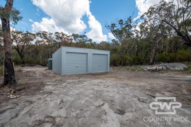 Lifestyle For Sale - NSW - Torrington - 2371 - Your Own Private Wilderness  (Image 2)