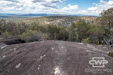 Lifestyle For Sale - NSW - Torrington - 2371 - Your Own Private Wilderness  (Image 2)